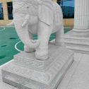 宿州 白麻花岗岩动物异形石雕-大象
